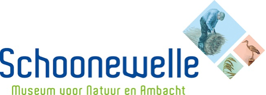 schoonewelle.nl